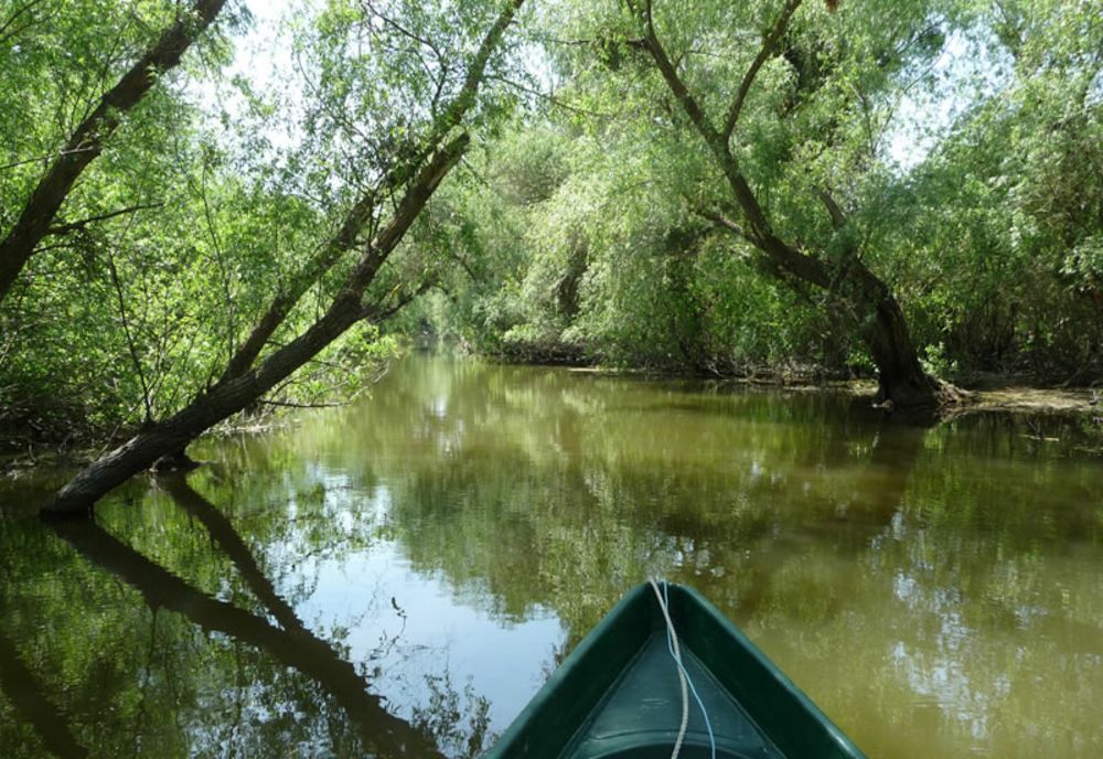 Tragedie în Delta Dunării! Un tânăr a murit prins în stufăriș