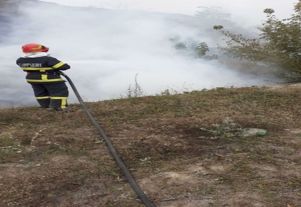 FOTO| Incendiu de vegetație  în Tulcea