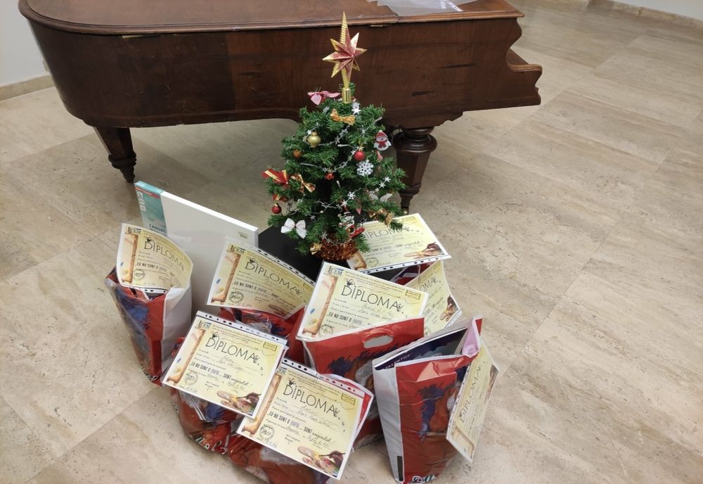 Câștigătorii concursului „Eu nu sunt o copie...sunt originalul!”