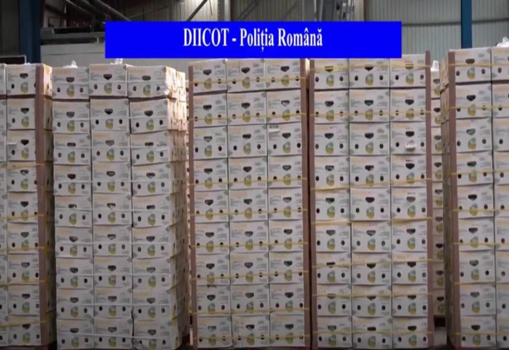 DIICOT: Jumătate de tonă de cocaină, în valoare de 25 de milioane de euro, descoperită în Ilfov