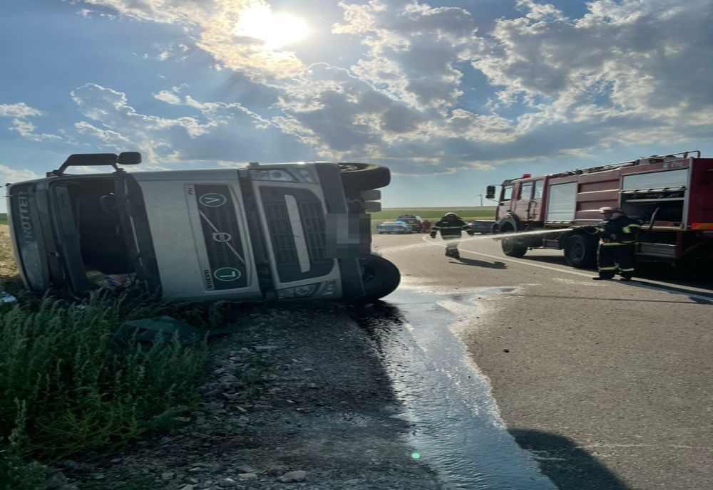 Tulcea. 100 de oi moarte după ce TIR-ul în care erau transportate s-a răsturnat