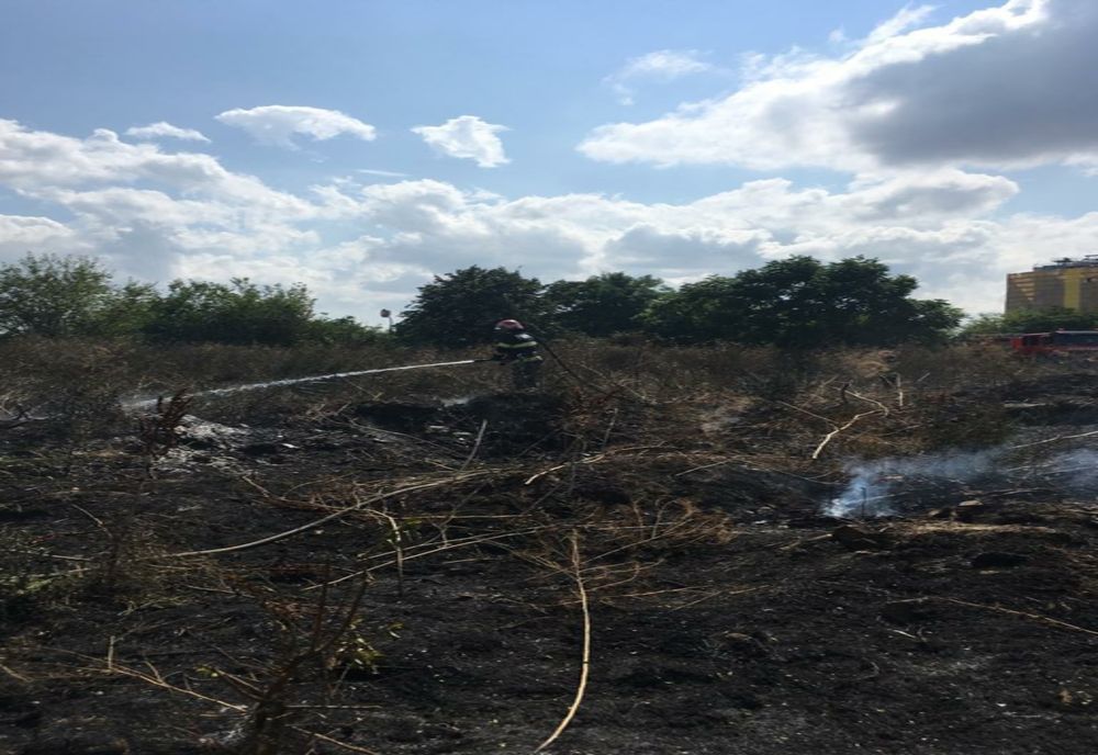 FOTO Incendiu de vegetație uscată în municipiul Tulcea