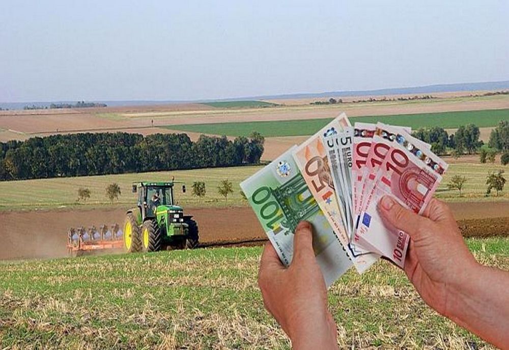 Au fost publicate condițiile de accesare a fondurilor europene pentru tineri fermieri, ferme mici și pentru cooperare în sectorul agricol și pomicol