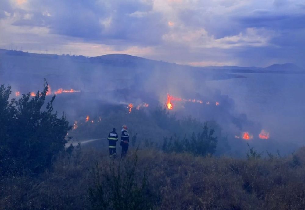 10 hectare de vegetație uscată și stuf făcute scrum lângă Babadag