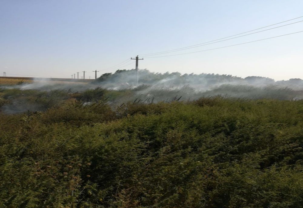 Două hectare de vegetație uscată au ars în urma unui incendiu la Frecăței