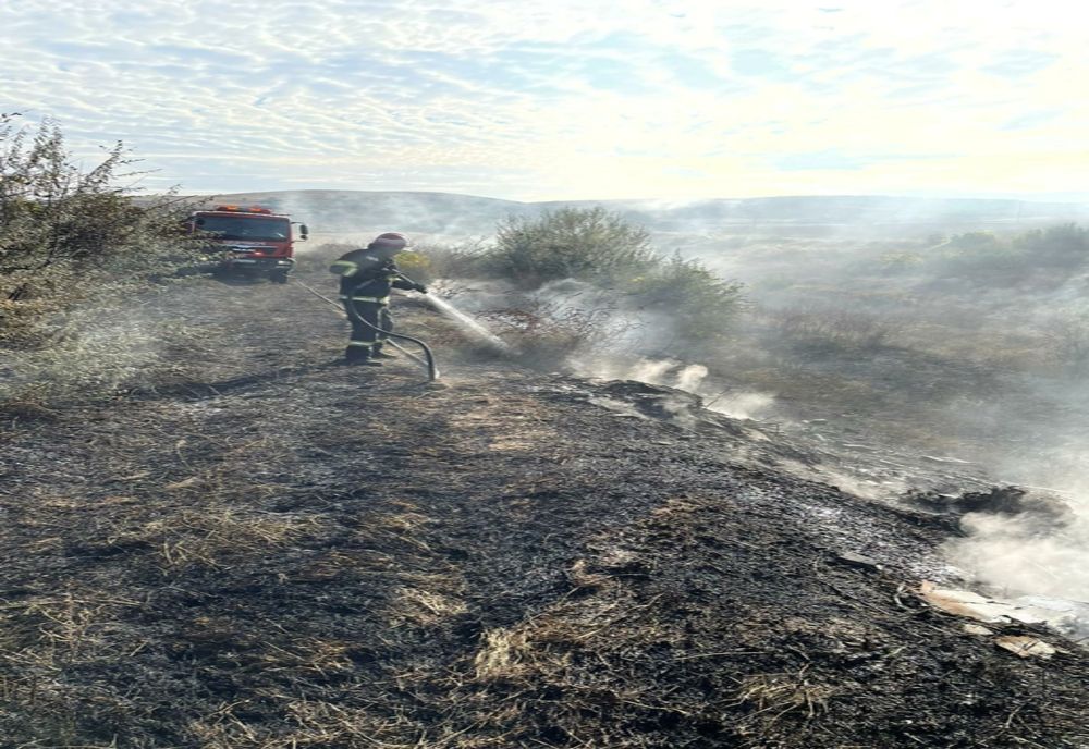 FOTO Incendiu violent la Somova