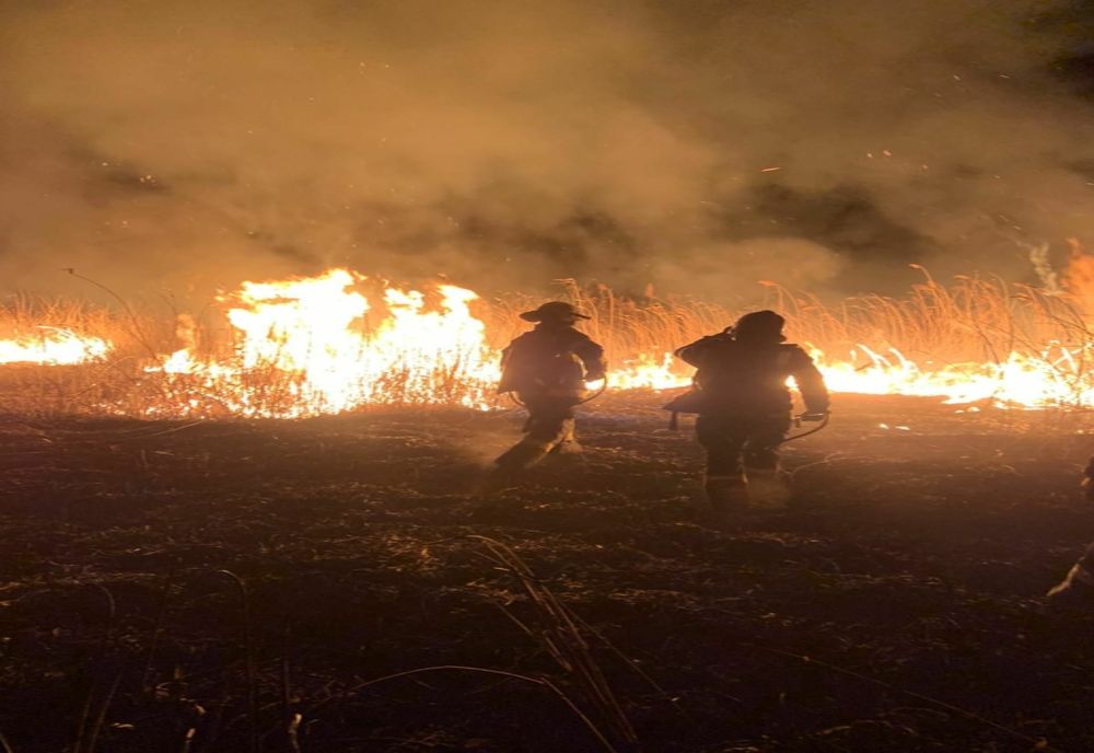 VIDEO Incendii violente în județul Tulcea