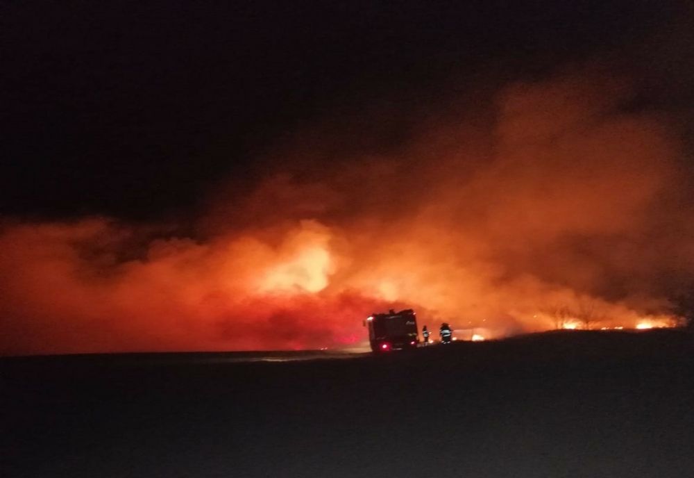 VIDEO Incendiu violent la Zebil. Cabană salvată de pompieri