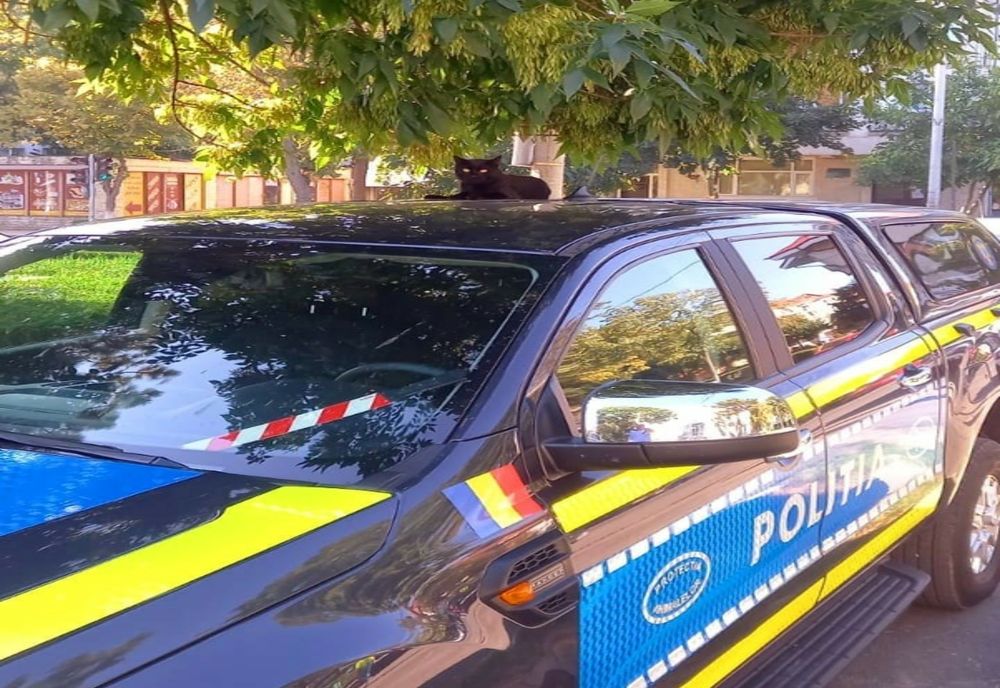 Zi cu ghinion pentru un tulcean. De ce s-a ales cu dosar penal