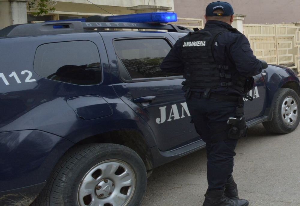 Scandal în Tulcea. A distrus cu toporul foișorul vecinului