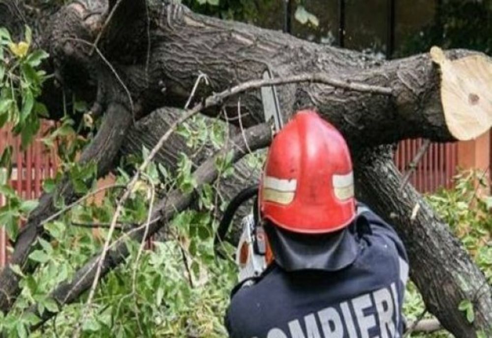 FOTO VIDEO Județul Tulcea, sub cod galben. Inundații și drumuri blocate