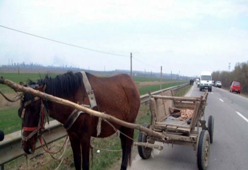 Hoți de mici. Au  furat caruța și calul din curtea unei case