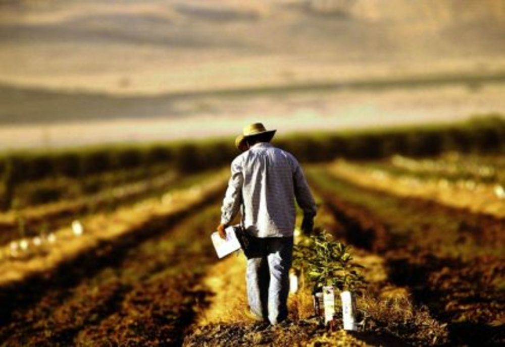 35 de judeţe afectate de secetă