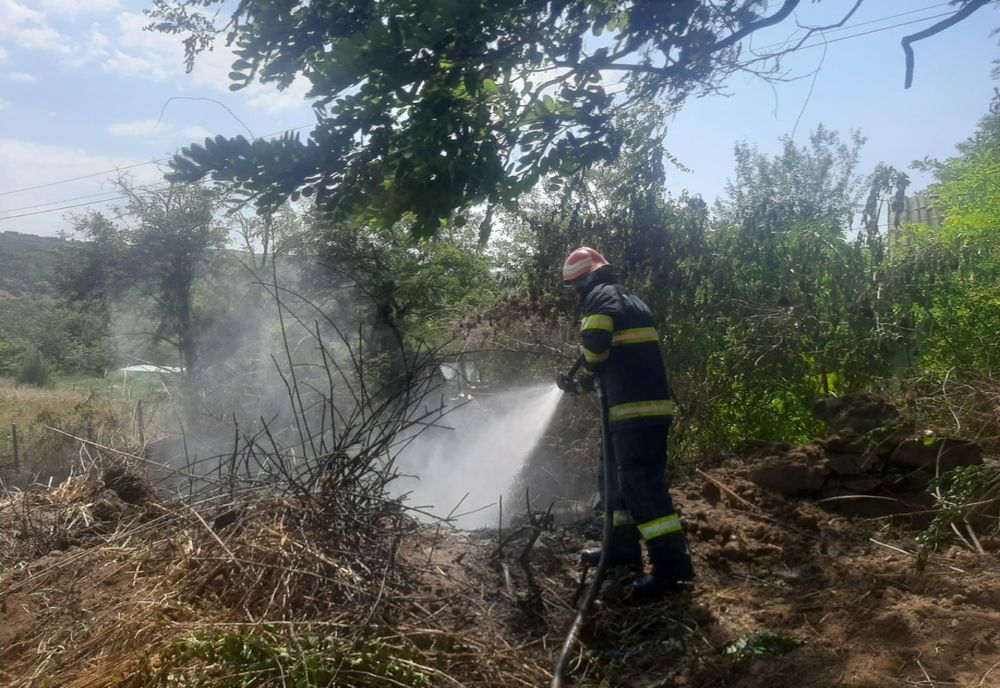 Incendiu de vegetație în Măgurele , izbucnit din cauza unei țigări