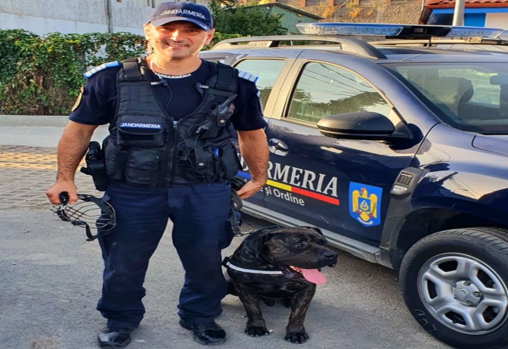 Weekend plin de evenimente la Tulcea. Recomandările jandarmilor