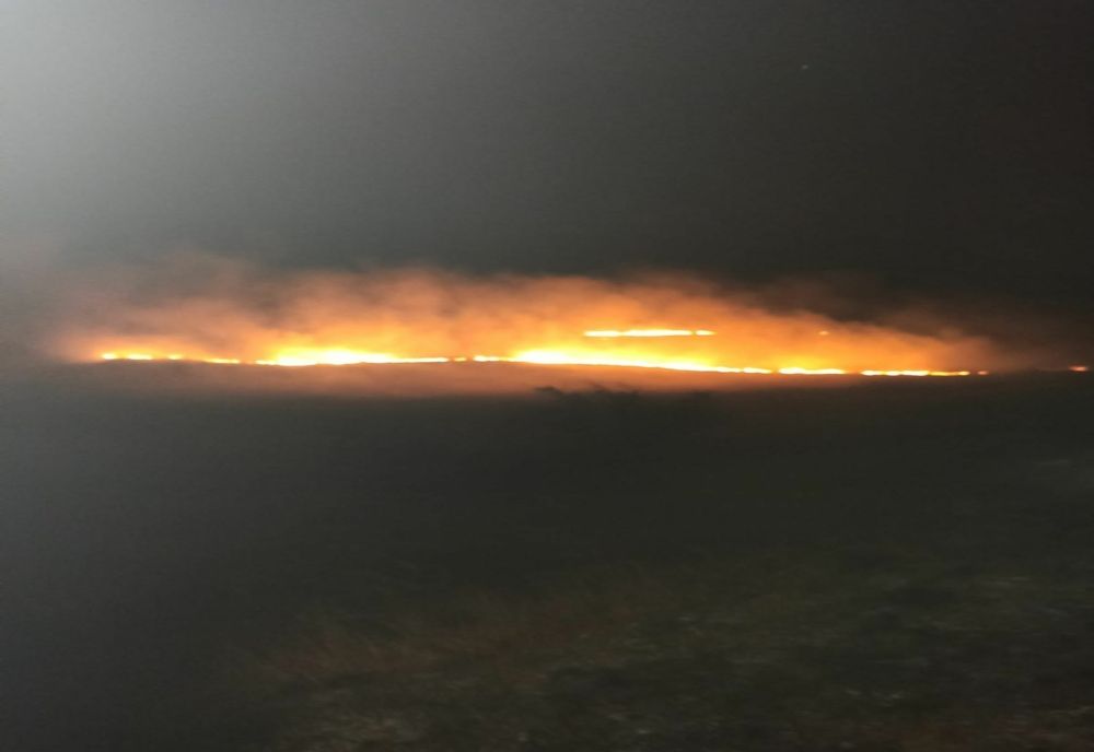 Incendiu violent de vegetație uscată în Delta Dunării