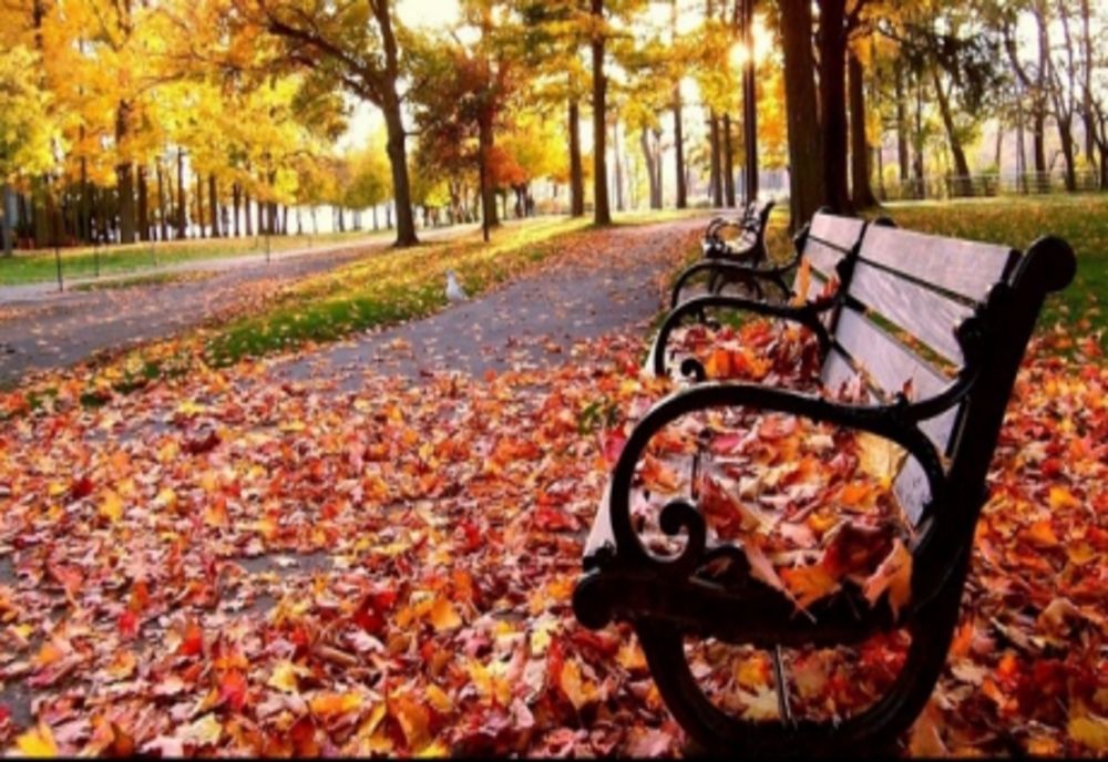 Vremea 12 noiembrie - Temperaturi neobișnuite pentru această perioadă