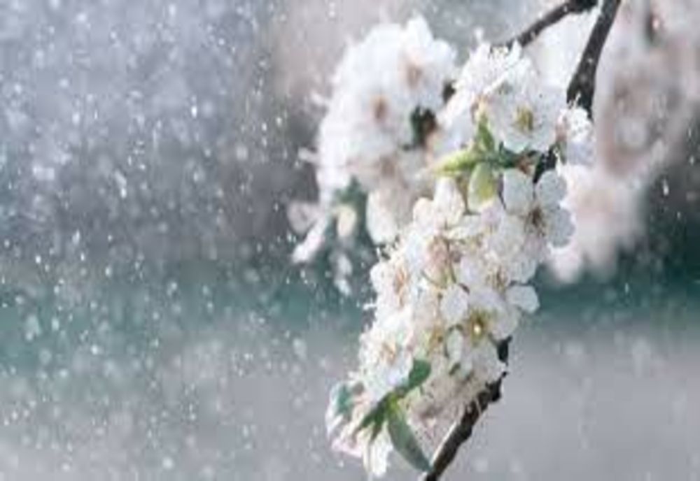 Vreme din ce în ce mai caldă, maxime de până la 16 grade - Temperatura în toate zonele țării