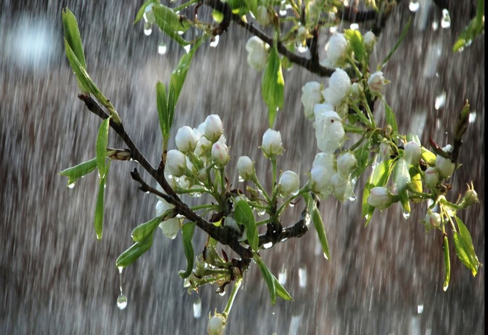 Vremea 26 martie. Temperaturile încep să scadă și sunt anunțate ploi