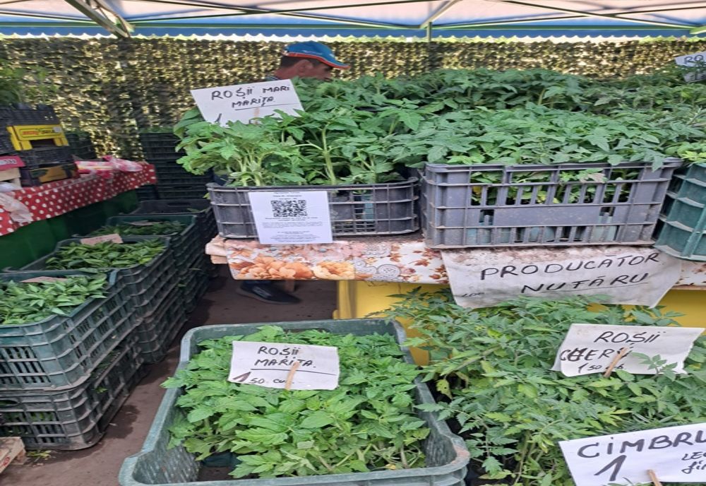 Sistem digital implementat în piețele din municipiul Tulcea