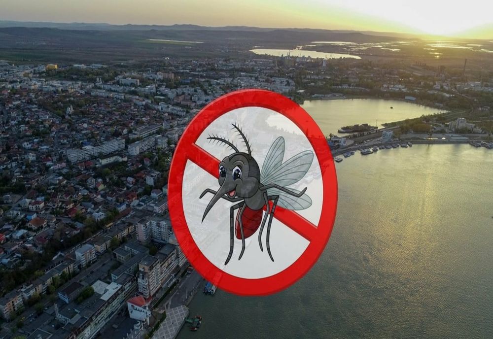 Începe campania de dezinsecție și deratizare În municipiul Tulcea