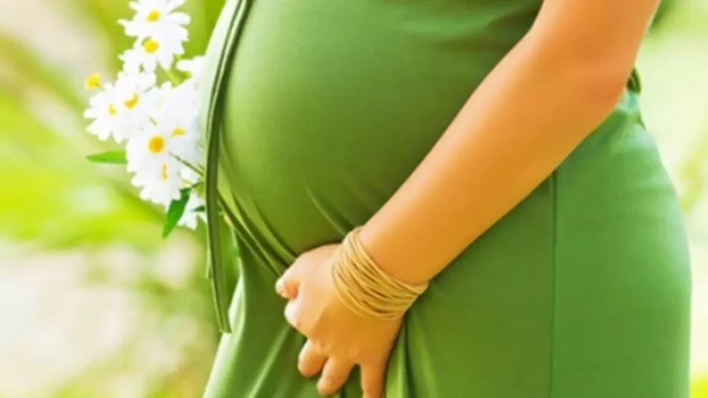 Fertilizare în vitro