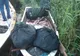 Peste 600 kg de pește și plase de pescuit cu fir textil, confiscate de polițiștii de frontieră