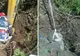 Un cal a fost salvat se pompieri, după ce a cazut într-o fântână adâncă de șase metri