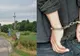 O bătrână singură a fost violată de un cioban, la Dorobanţu
