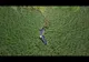 Bărci furate din deltă, găsite cu ajutorul dronei