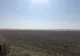 Fermier păgubit la Ceamurlia de Jos: I s-au discuit 7 hectare de porumb înainte de recoltare!