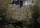 Pompierii intervin la un incendiu la Izvoarele