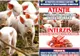 Tulcea: Despăgubiri de peste 34 de milioane de lei pentru pestă porcină africană!
