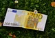APIA informează, sprijină şi plăteşte