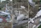 Mai multe morminte au fost vandalizate noaptea trecută în Cimitirul Lipovenesc