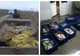 Aproximativ 170 kg peşte fără documente legale şi 1 km. de plase monofilament,  confiscate de poliţiştii de frontieră tulceni