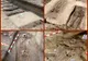 Apel IICCMER pentru rudele şi urmaşii deţinuţilor de la Periprava