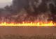 La Baia ard 100 de hectare de vegetaţie uscată şi stuf!