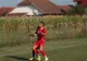 Alum Vimetco a ratat calificarea în play-off-ul Cupei Municipiului la fotbal în sală