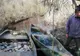 Peste 100 kg peşte fără documente legale şi plase de pescuit, confiscate de poliţiştii de frontieră tulceni