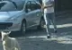 Tulcea, sat urban: A scăpat mielul pe strada Mahmudiei, aproape de Km 0