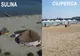Nu e panică: Apele de îmbăiere de la plajele Sulina şi Lac Ciuperca au doar calitate "nesatisfăcătoare"!