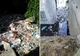 Apel disperat a sute de tulceni condamnaţi la duhoare, care trăiesc în focare de boli și infecţie !