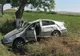 A ajuns cu mașina în șanț, s-a răsturnat și s-a oprit în copac