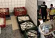 PESTE 150 DE PERCHEZIȚII DOMICILIARE - 30 DE TONE DE PEȘTE, IMPROPRIU CONSUMULUI, CONFISCAT