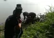 Bovine scoase din nămol de pompieri