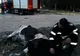Animal înnămolit la Carcaliu, scos de pompieri