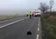 Pieton accidentat pe un drum naţional la Revărsarea!