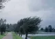 ALERTĂ meteo de ultimă oră: România, lovită de vijelii