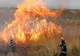 Aproximativ 30 de hectare de vegetaţie uscată şi stuf, afectate de un incendiu